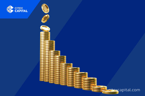 سرمایه گذاری چگونه کار می‌کند؟