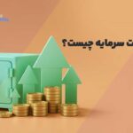 مدیریت سرمایه چیست؟
